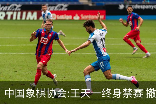 中国象棋协会:王天一终身禁赛 撤销特大等称号