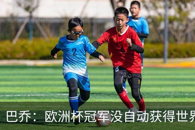 巴乔：欧洲杯冠军没自动获得世界杯资格 这是耻辱