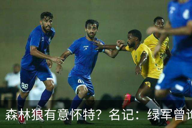 森林狼有意怀特？名记：绿军曾询价戈贝尔被拒绝 他和怀特能配平