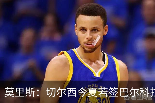 莫里斯：切尔西今夏若签巴尔科拉会很高兴，会是梦幻引援