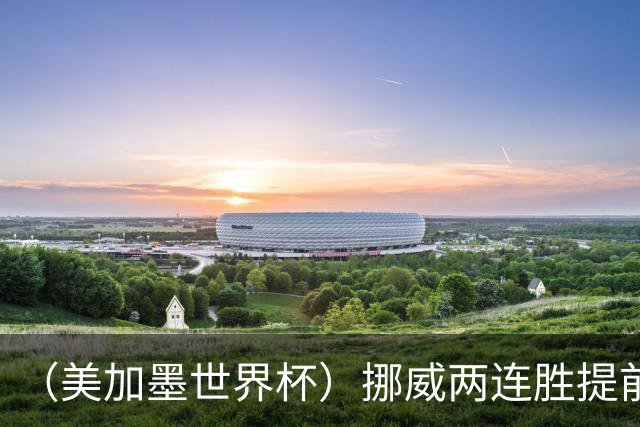 （美加墨世界杯）挪威两连胜提前出线 约旦遭逆转提前出局
