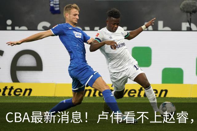CBA最新消息！卢伟看不上赵睿，张镇麟转会费超5000万，林葳无缘国家队原因曝光